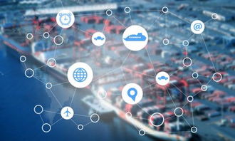 高考報(bào)考 信息技術(shù)專(zhuān)業(yè)的抉擇——選大學(xué)還是選城市